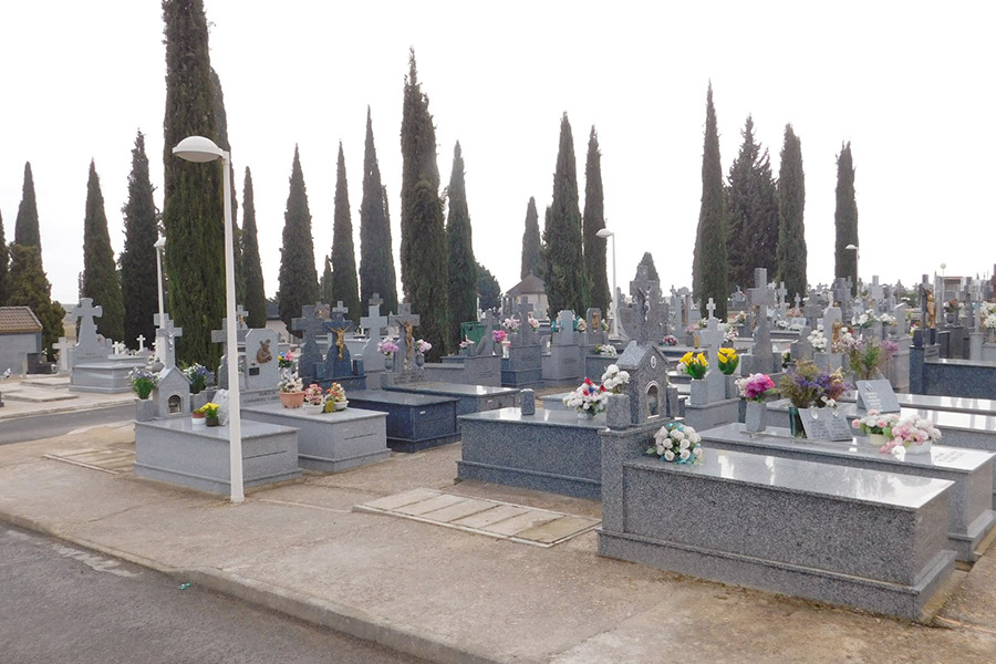 El cementerio de Daimiel cerrará martes y miércoles por la fumigación de sus cipreses