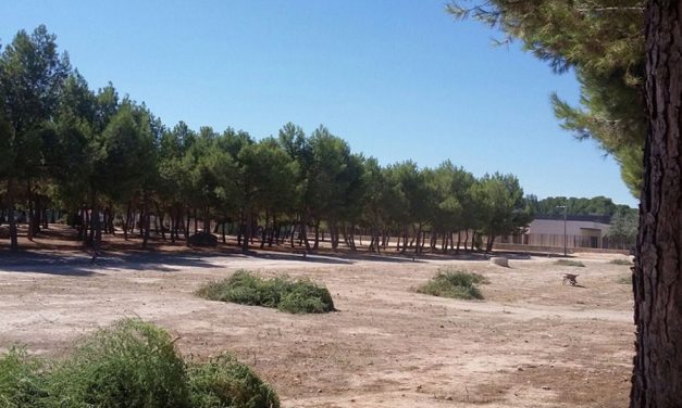 El Ayuntamiento de Herencia ilumina el pinar de La Serna en su 25 aniversario