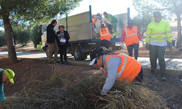 Un Plan de Empleo con 40 trabajadores se suman a la limpieza y mantenimiento de zonas verdes de Valdepeñas