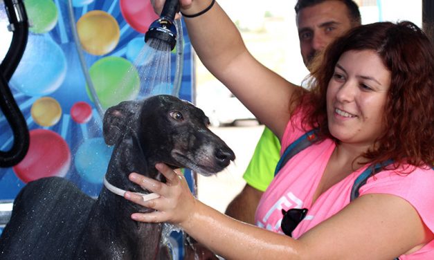 La Solana inaugura un novedoso lavadero de mascotas