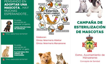 Campaña municipal sobre los beneficios de esterilizar a las mascotas