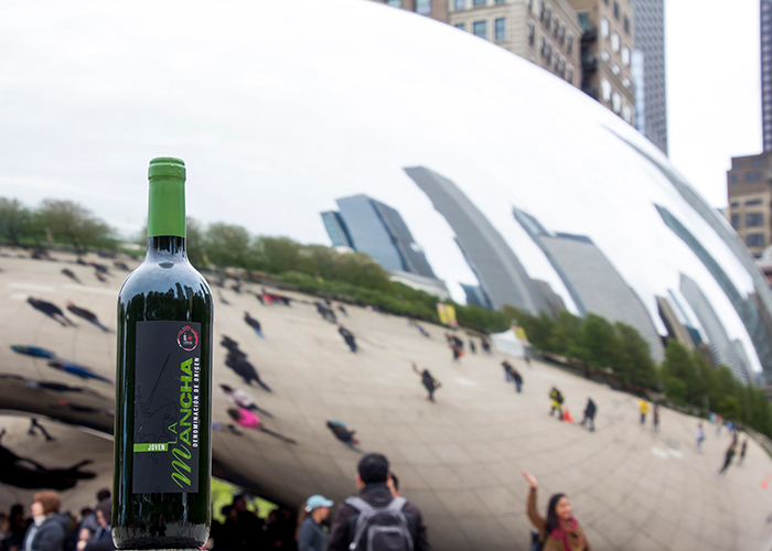 Balance satisfactorio de los vinos DO La Mancha en Chicago