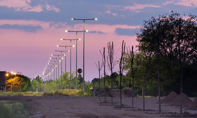 Más de doscientos árboles plantados esta primavera