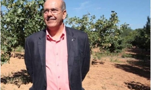 Profesionales analizarán en FENAVIN la importancia de sector vitivinícola a la hora de mantener a la población dentro del territorio