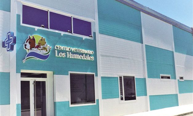 Bienestar y adiestramiento de su mascota en Centro Veterinario “Los Humedales”