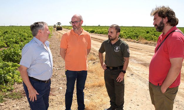 Argamasilla de Alba arregla provisionalmente el camino de Cirujano para la campaña de vendimia