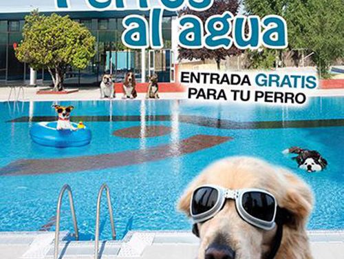 Perros al agua en el cierre de la temporada de piscina
