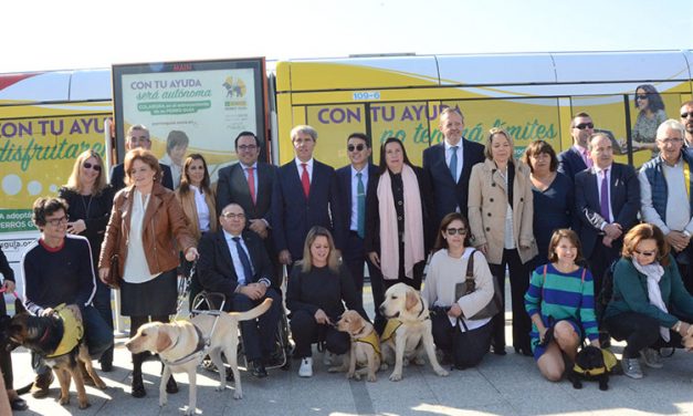 Metro Ligero y la Fundación ONCE presentan en Boadilla un convoy con imágenes de perros guía para concienciar sobre su acceso al transporte
