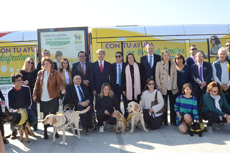 Metro Ligero y la Fundación ONCE presentan en Boadilla un convoy con imágenes de perros guía para concienciar sobre su acceso al transporte