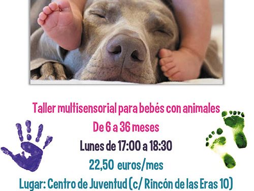 El área de Infancia del Ayuntamiento de Collado Villalba organiza un original Taller de Bebés y Mascotas