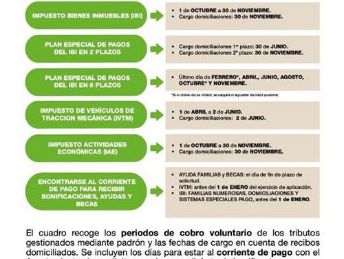 Publicado el calendario fiscal con los periodos de pago, fechas de cargo y plazos para solicitar bonificaciones
