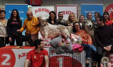 El domingo se celebra el VII Concurso Nacional Canino de Moralzarzal en la plaza de toros