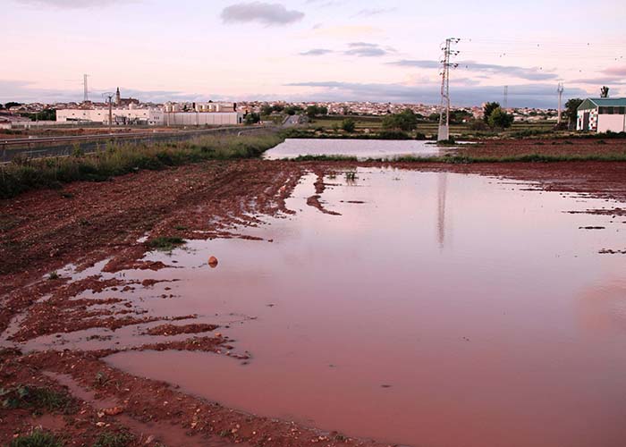 La llovida de San Marcos, la mayor del siglo en La Solana