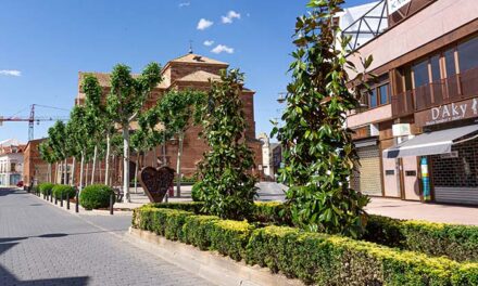 Se han colocado más de un centenar de árboles en el plan de arbolado viario en Alcázar de San Juan en los últimos meses