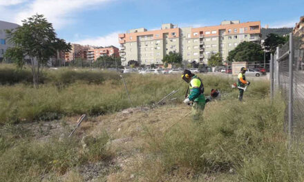 El Ayuntamiento de Jaén desbroza, hasta la fecha, el 80% de las parcelas de su titularidad