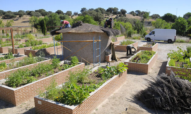 El Ayuntamiento de Boadilla realiza actuaciones de mejora en los huertos urbanos