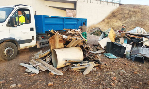 El plan de vertederos llena dieciséis camiones de escombros y muebles en zonas periféricas