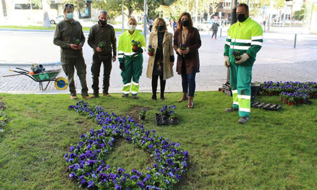 El Ayuntamiento de Jaén planta 200 pensamientos en la Plaza de las Batallas para formar un gran lazo morado que reivindica el fin de la violencia contra la mujer