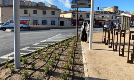 El Ayuntamiento de Toledo inicia la campaña de plantaciones en el paseo de Recaredo y el entorno de la plaza de Safont