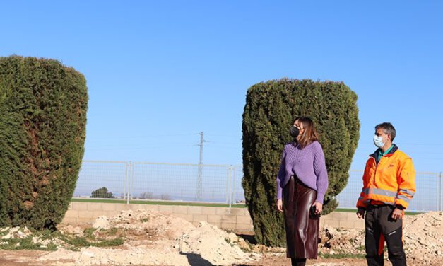 El Ayuntamiento de Manzanares pone en marcha el proyecto de replantación de cipreses para regenerar las zonas verdes del Polígono