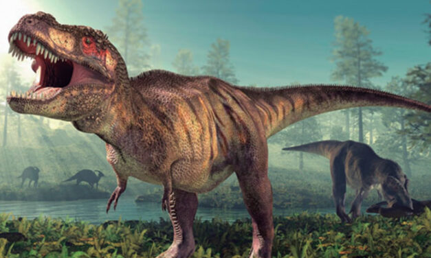 El Tyrannosaurus corría poquito