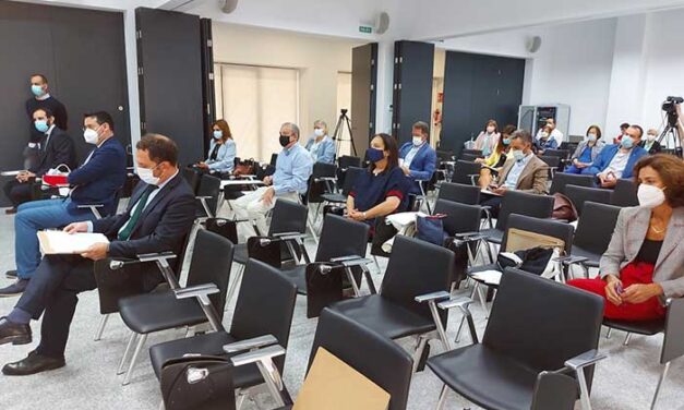 Ciudad Real conoce la iniciativa ‘De Español a Español por la Constitución’