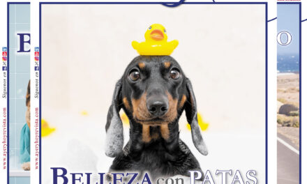 Revista digital edición Ciudad Real