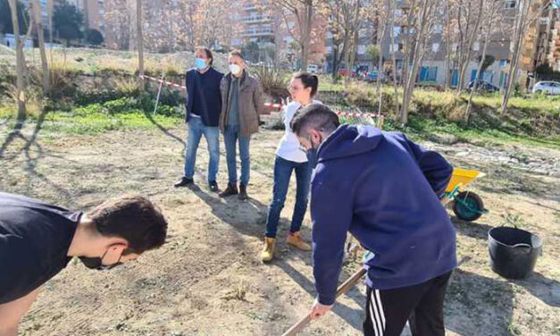 El Ayuntamiento de Jaén pone en marcha una nueva campaña de excavación en Marroquíes Bajos