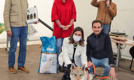 La vuelta del concurso canino en la Feria de Marzo levantó una enorme expectación