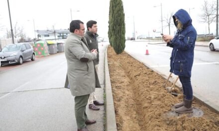 El Ayuntamiento de Boadilla instala césped artificial en las medianas del municipio
