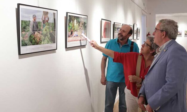 Llega a Casa Malpica la exposición ‘In vino veritas, en el vino está la verdad’