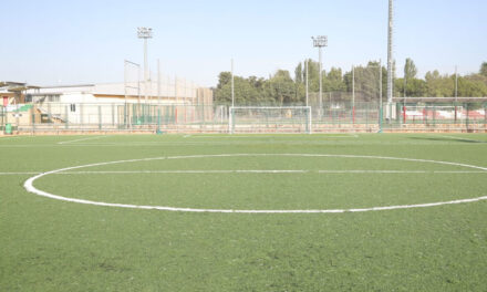 Sustitución del césped artificial en dos campos del Complejo Deportivo Ángel Nieto