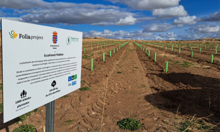 <strong>El Ayuntamiento de Poblete apuesta por reducir la huella de carbono y reforesta dos parcelas con más de 2.000 árboles</strong>