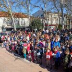 Los centros educativos de Argamasilla de Alba celebran el Día Escolar de la No Violencia y la Paz