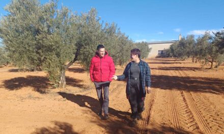 <strong>Valdepeñas y El Herrumblar, nuevos destinos del Erasmus agrario en Cooperativas Agro-alimentarias</strong>