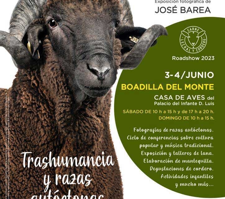 Fin de semana de actividades en torno a la trashumancia, las razas autóctonas y la cultura tradicional en la España rural