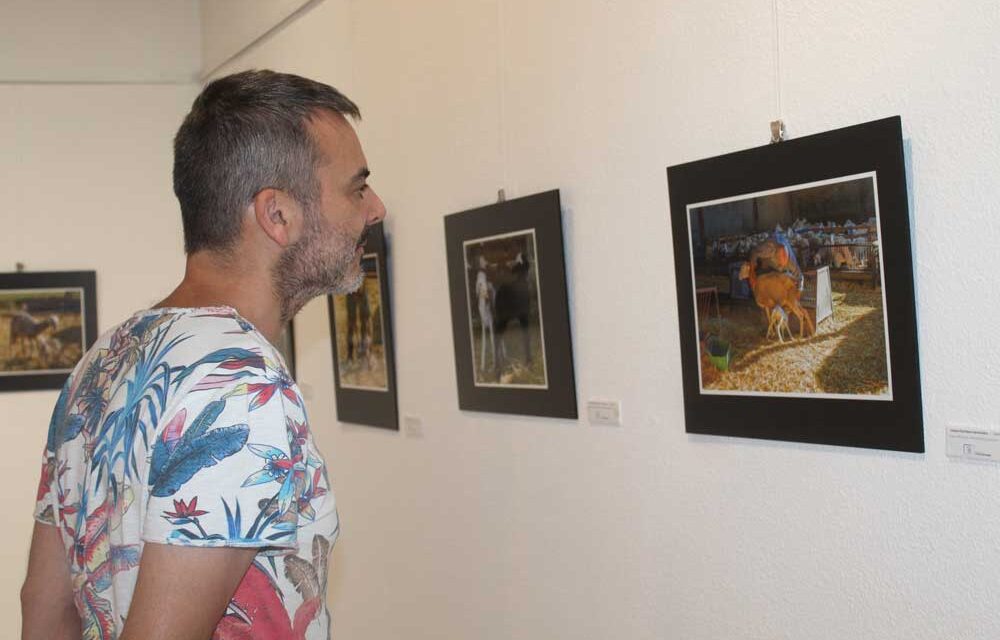 El Colectivo FotoEnfoque inaugura la exposición “Queso manchego. Entre rebaños y pastores” en el Museo Municipal