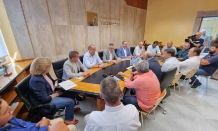 El alcalde y consejero de Agricultura se reúne con los agricultores para trabajar en la DO Valdepeñas