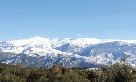La nieve de Sierra Nevada tiene dueño