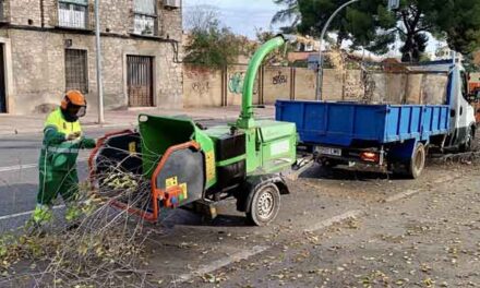 El Ayuntamiento de Ciudad Real intensifica las labores en la recogida de hojas