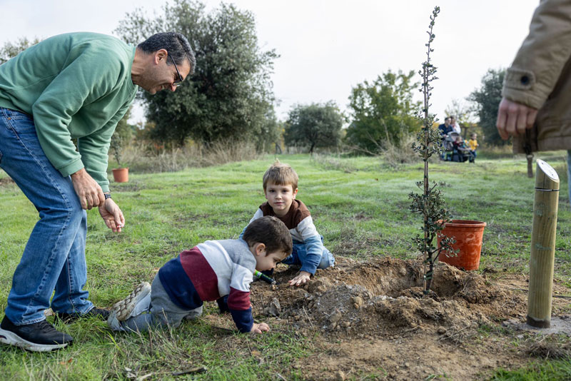 Cerca de 200 niños nacidos en 2022 y 2023 tienen un árbol con su nombre en el Parque Forestal Adolfo Suárez