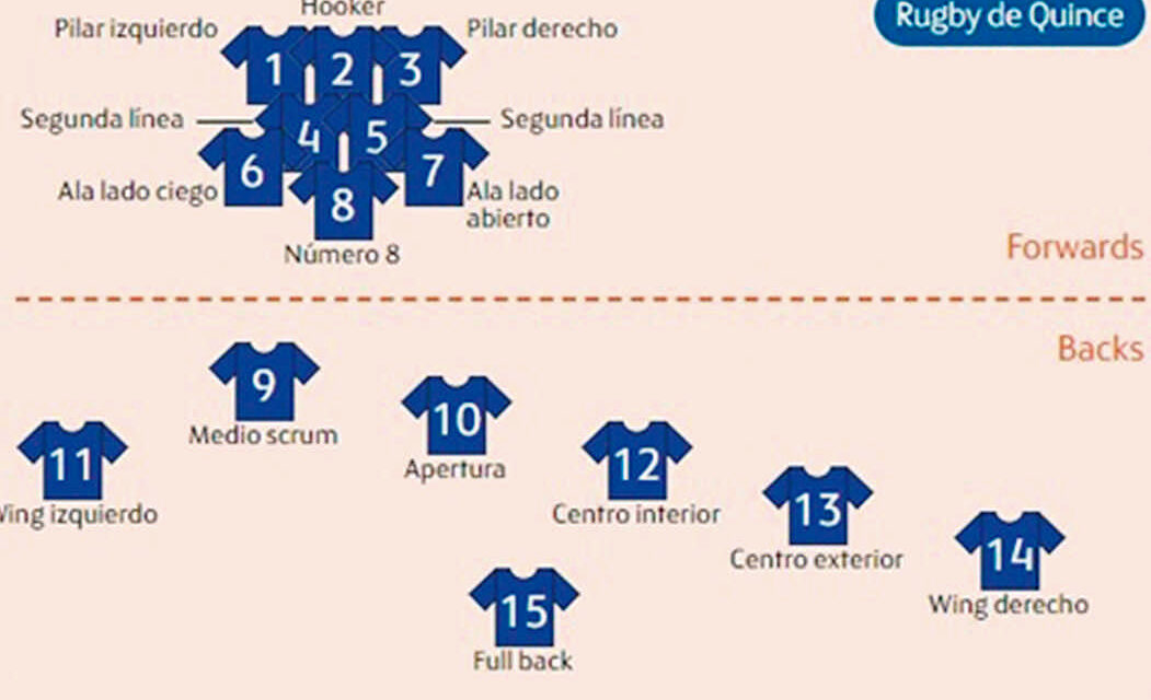 Descripción del rugby y posiciones (II)