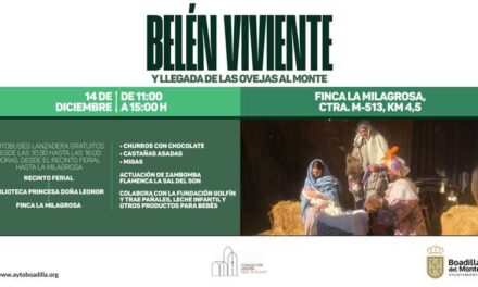 Las ovejas regresan a La Milagrosa para acompañar al belén viviente el próximo domingo