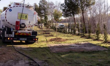 Nueva plantación de 115 árboles frente a la planta de tratamiento de aguas residuales