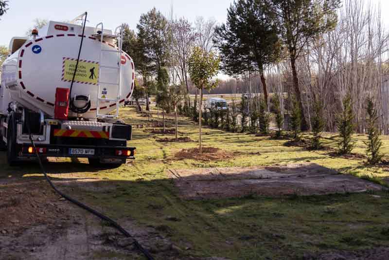 Nueva plantación de 115 árboles frente a la planta de tratamiento de aguas residuales