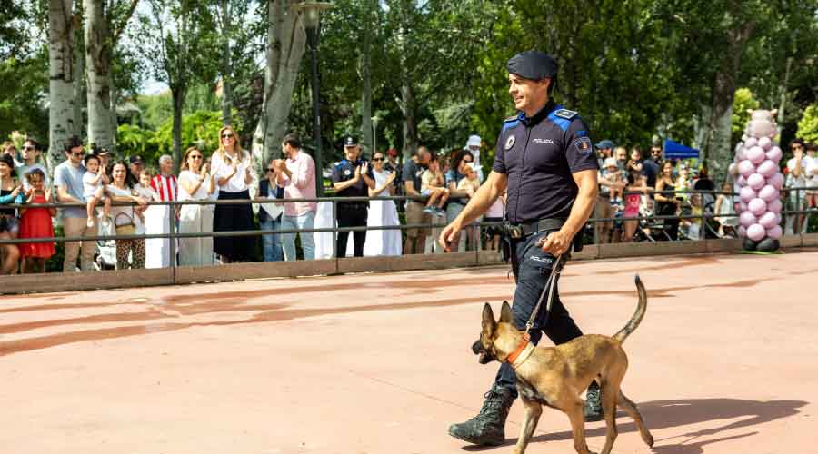 El Día del Niño congrega a cientos de familias en una jornada de juegos, talleres y exhibiciones