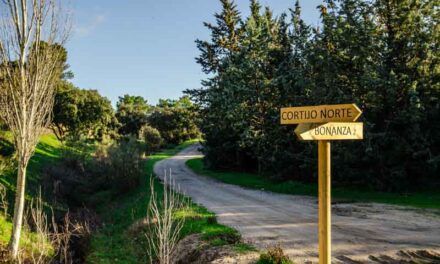 Una senda de cuatro kilómetros para bicicletas y peatones une Parque Boadilla, Las Lomas y Bonanza