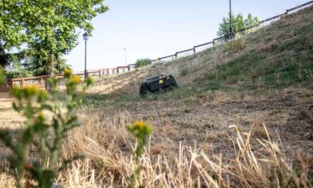 El Ayuntamiento está desbrozando y limpiando más de 400 hectáreas de zonas verdes y parcelas municipales