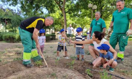 Medio centenar de escolares plantan en Valdepeñas por el Día Mundial del Medio Ambiente