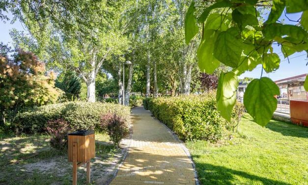 Boadilla reforzó sus zonas verdes en 2025 con 1360 nuevos árboles, más de 6700 arbustos y 42.000 flores